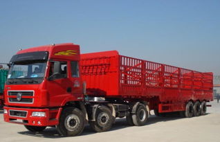 富陽(yáng)到西藏那曲貨運(yùn)專(zhuān)線 專(zhuān)業(yè)貨物代理，運(yùn)價(jià)合理高效