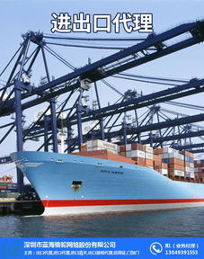 北京進(jìn)出口報(bào)關(guān)代理公司 解析藍(lán)海駱駝的出口報(bào)關(guān)代理服務(wù)