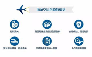 回國(guó)行李太多？高效省錢(qián)貨物代理服務(wù)指南