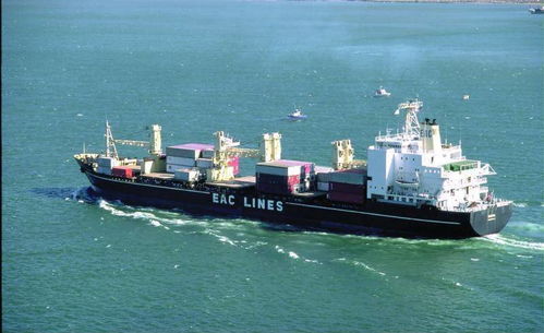 專(zhuān)業(yè)高效，上海易馳貨運(yùn)助您輕松實(shí)現(xiàn)國(guó)際海運(yùn)